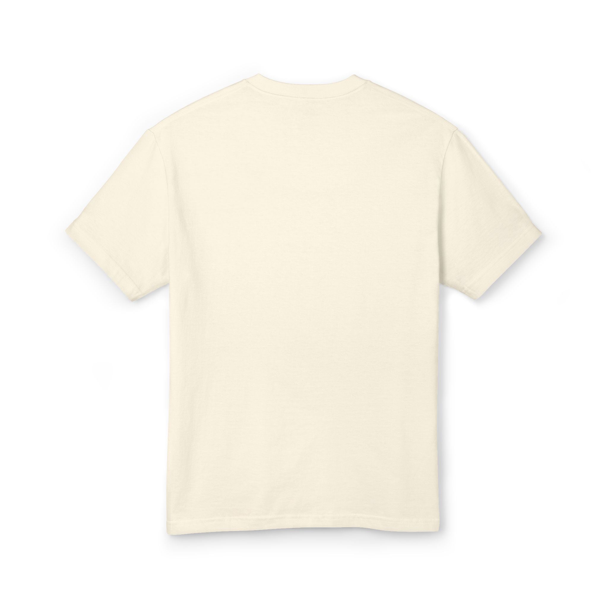 Desi Zombies T-Shirt — Indian Zombie Goddess Graphic Tee