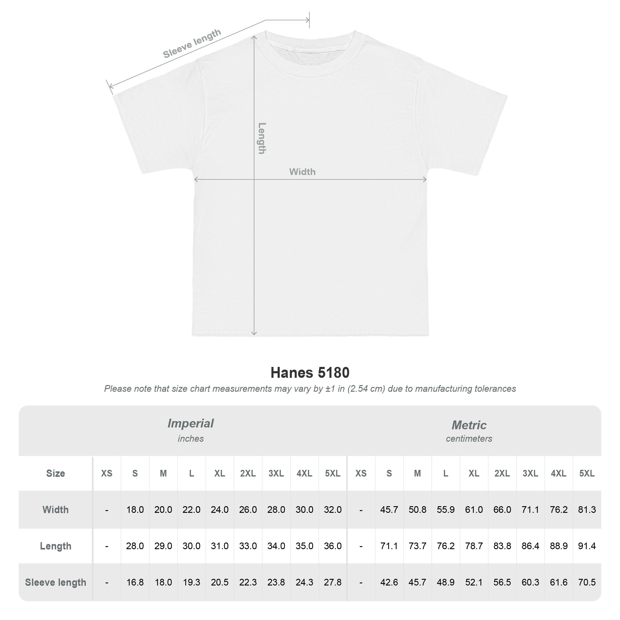 Ashes & Ink Graphic T-Shirt — Desi Zombies Vintage Bookish Tee